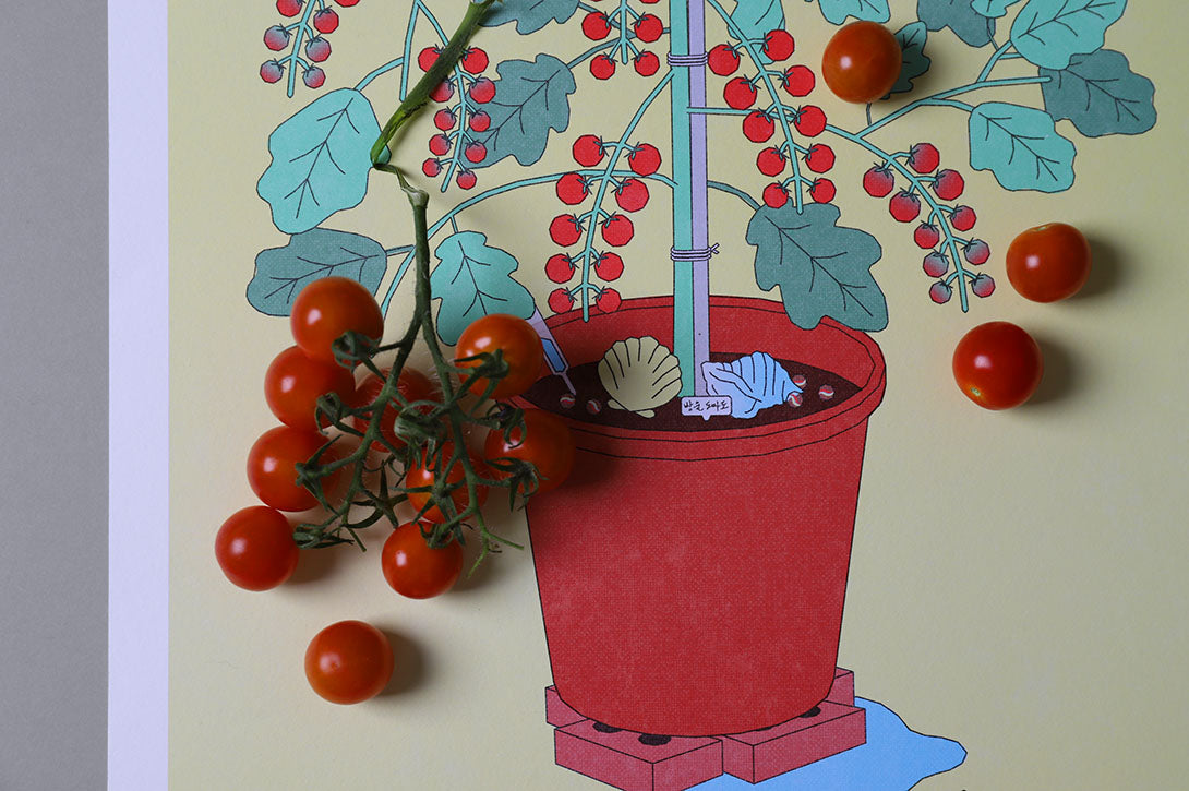 Colour Poster in Cherry Tomato