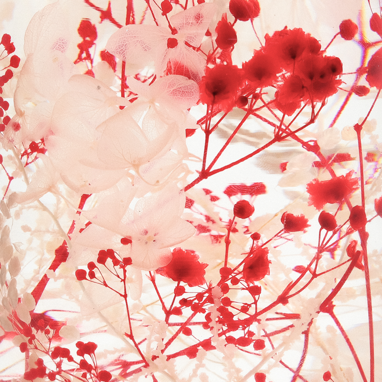 Pieces of Time Herbarium Wild Bloom Medium