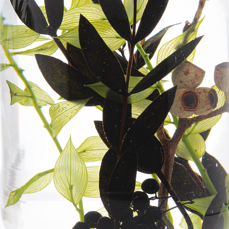 Pieces of Time Herbarium Black Forest Large