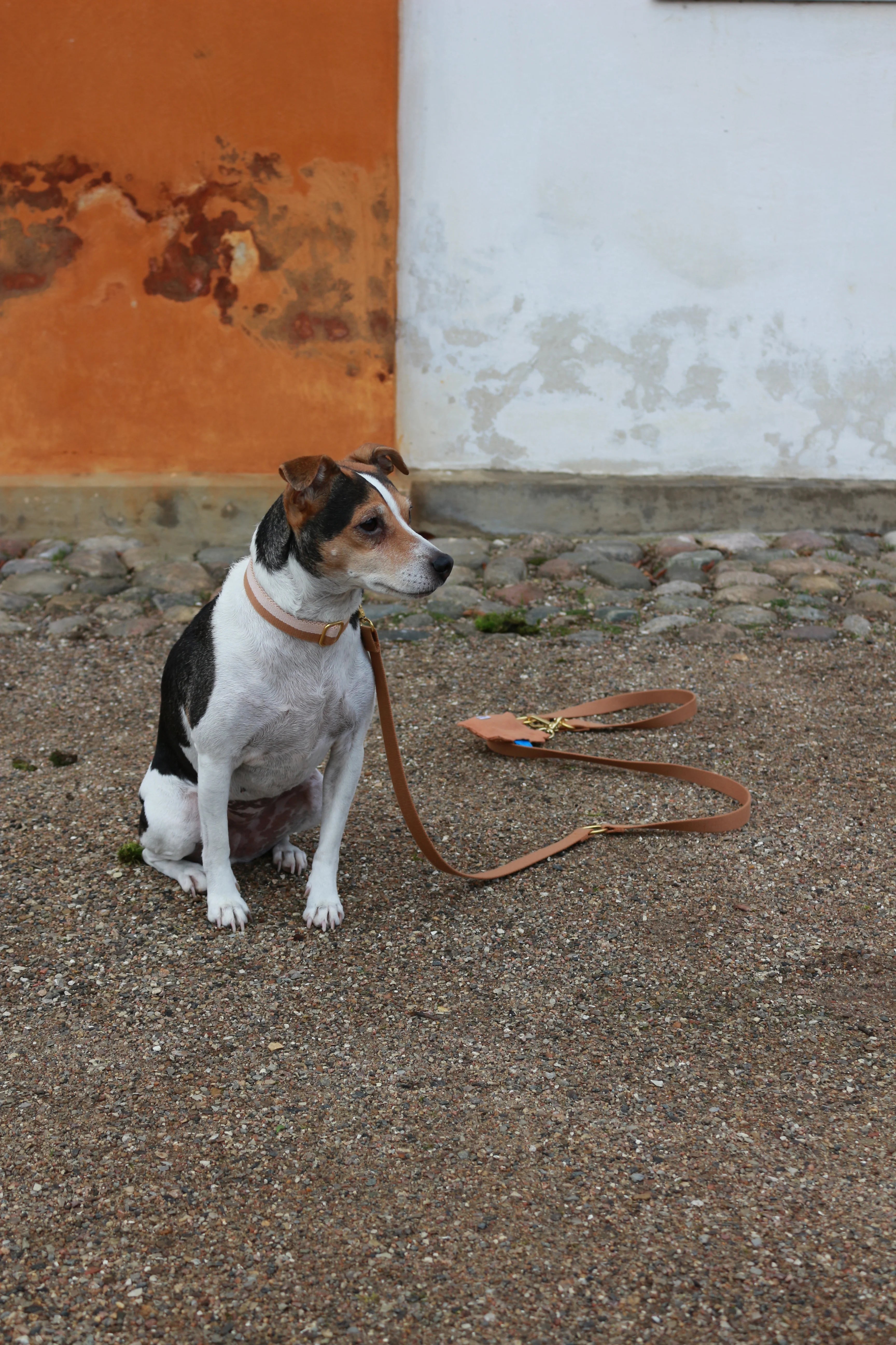 Dog Leash in Light Brown