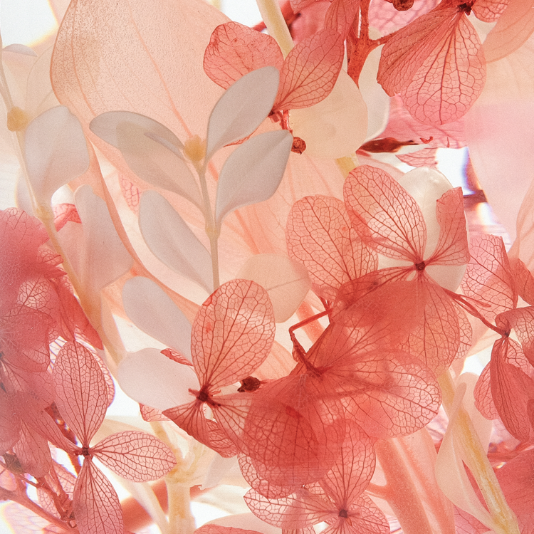 Pieces of Time Herbarium Ginger Rosé Large