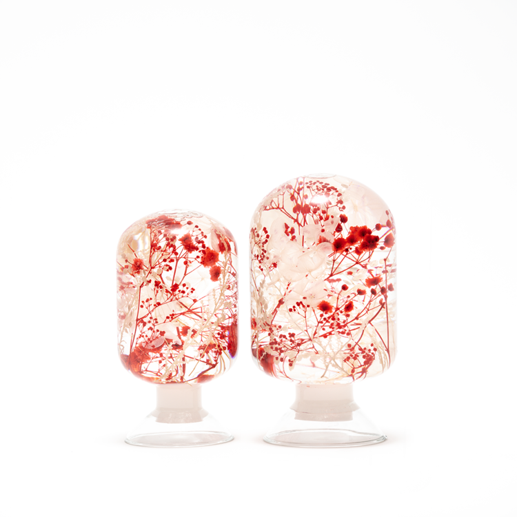 Pieces of Time Herbarium Wild Bloom Medium