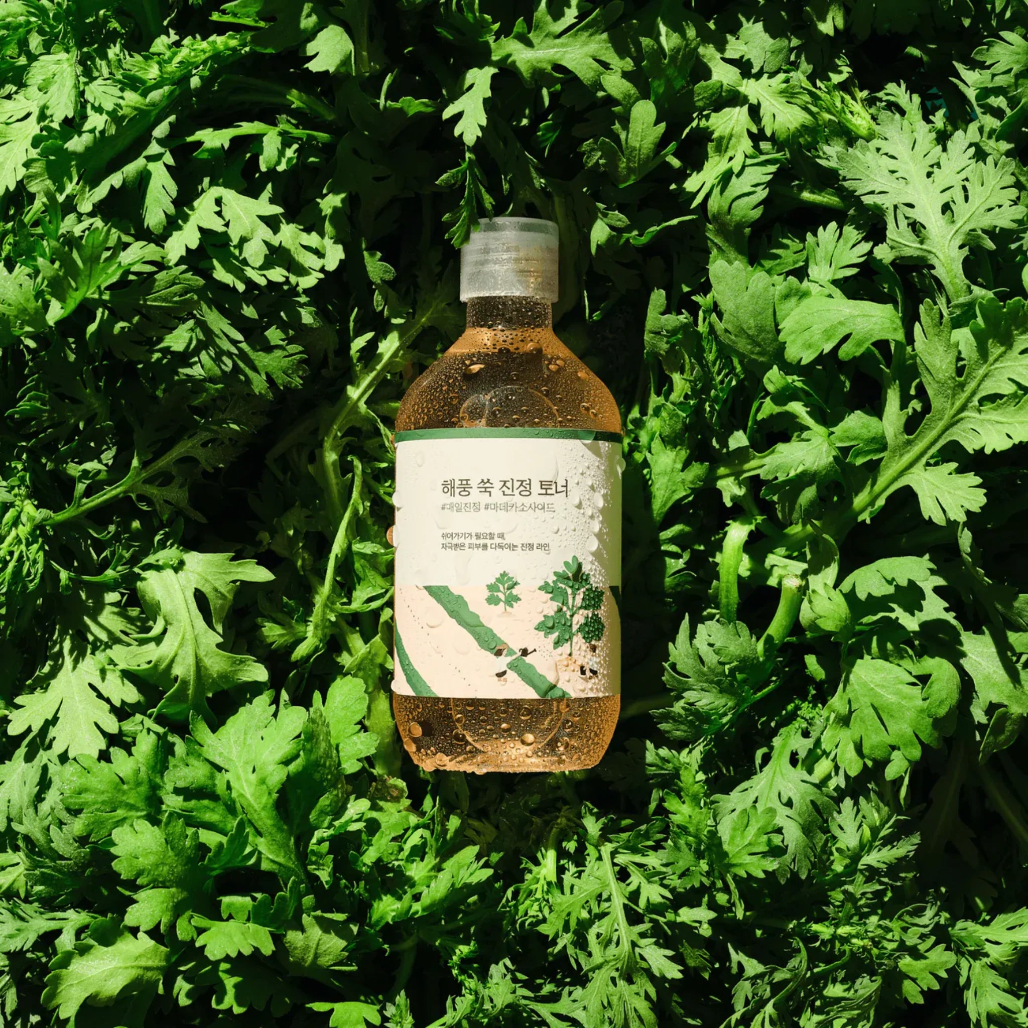 Mugwort Calming Toner 300ml