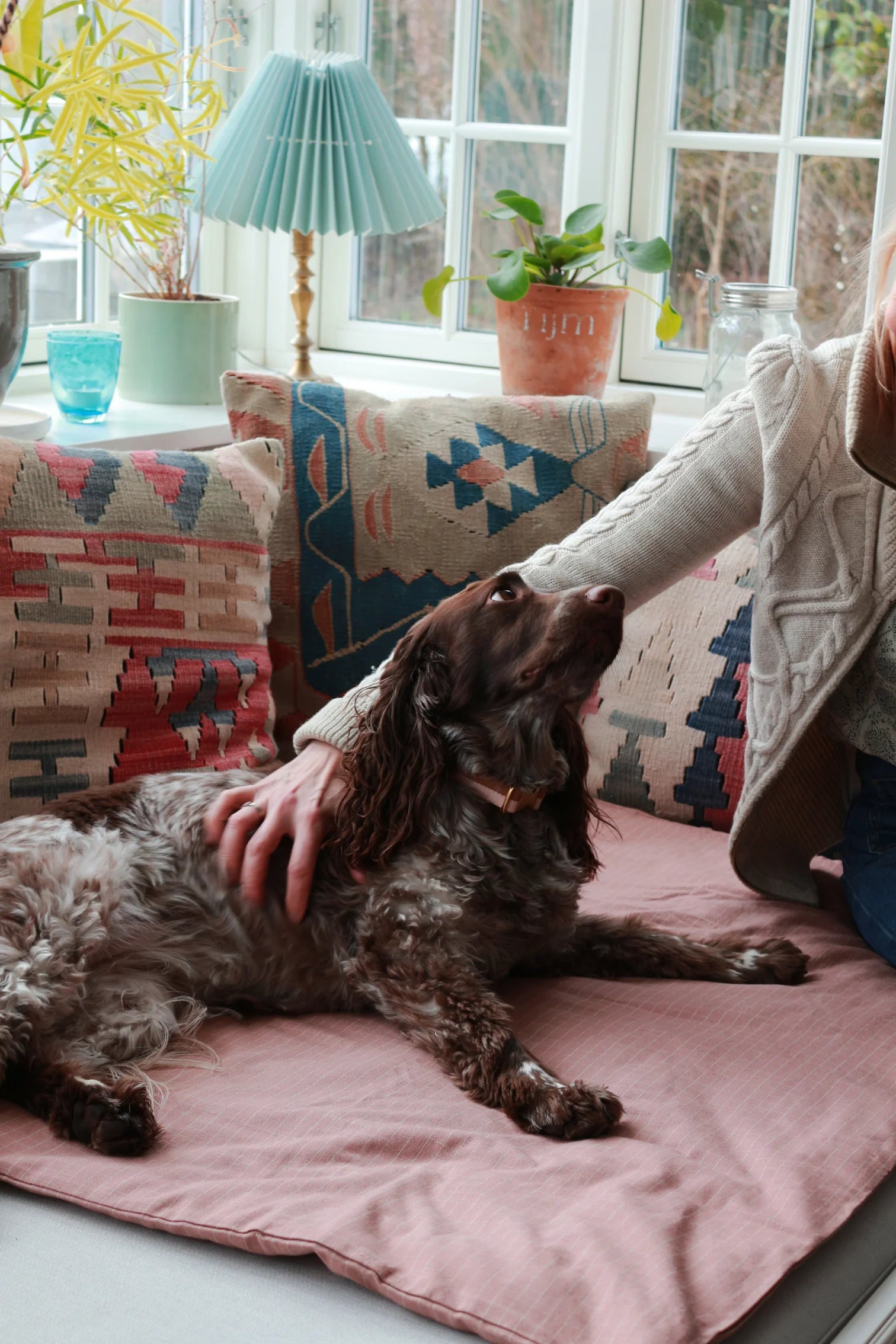 Duvet Dog Blanket Chequered Rose in 80x60cm