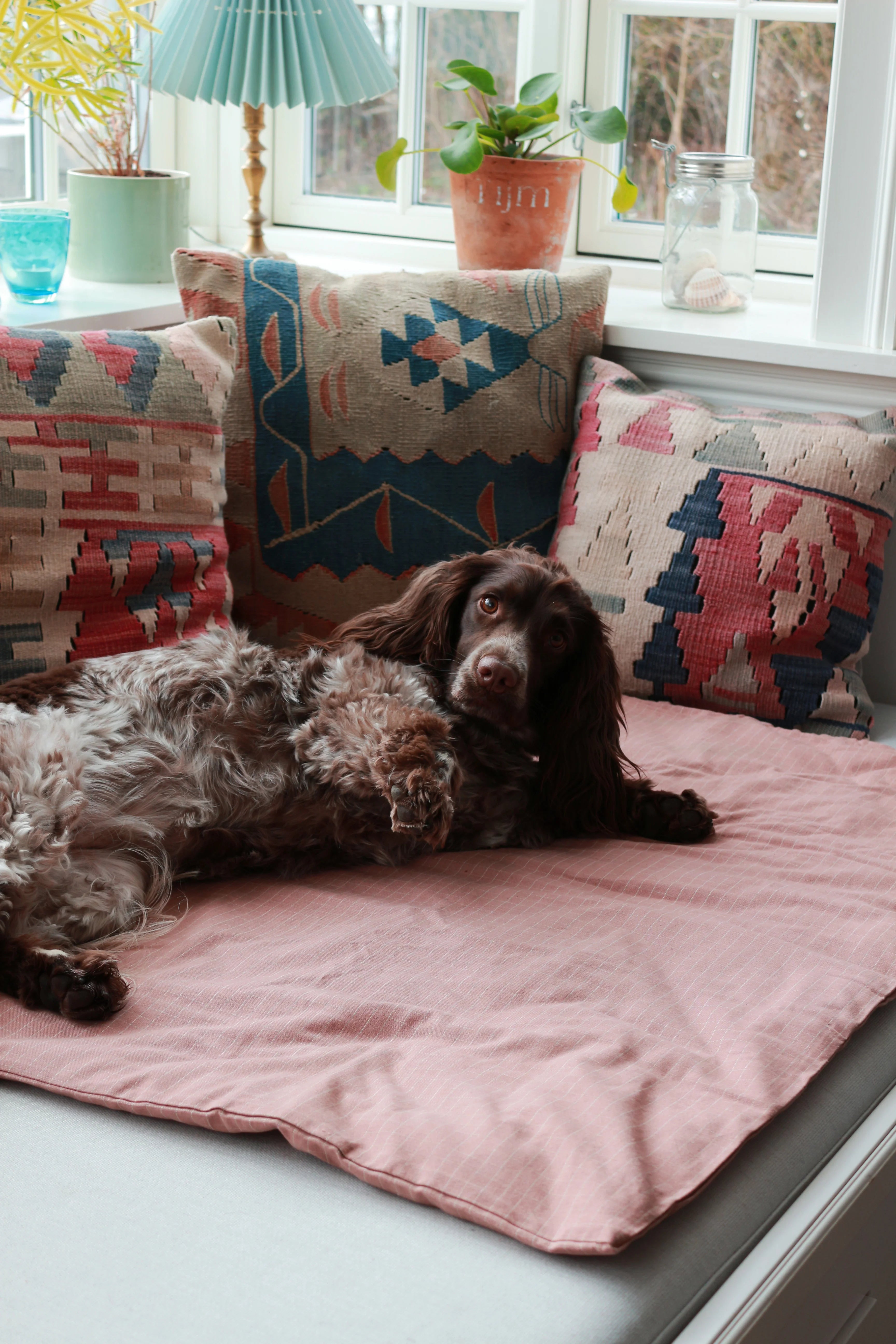 Duvet Dog Blanket Chequered Rose in 100x70cm with Bag