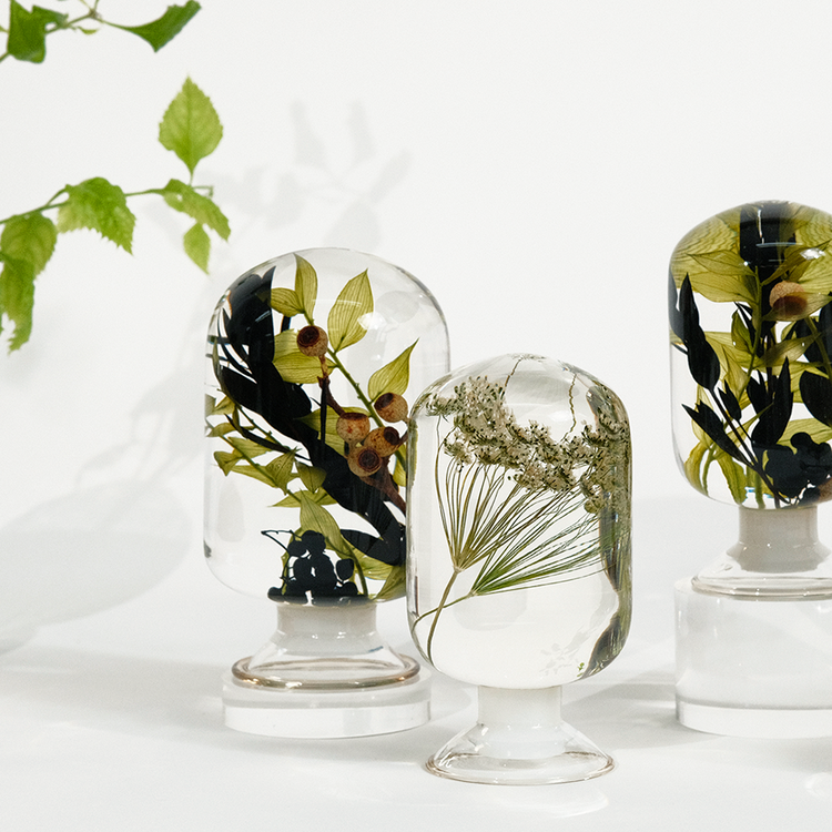 Pieces of Time Herbarium Black Forest Large