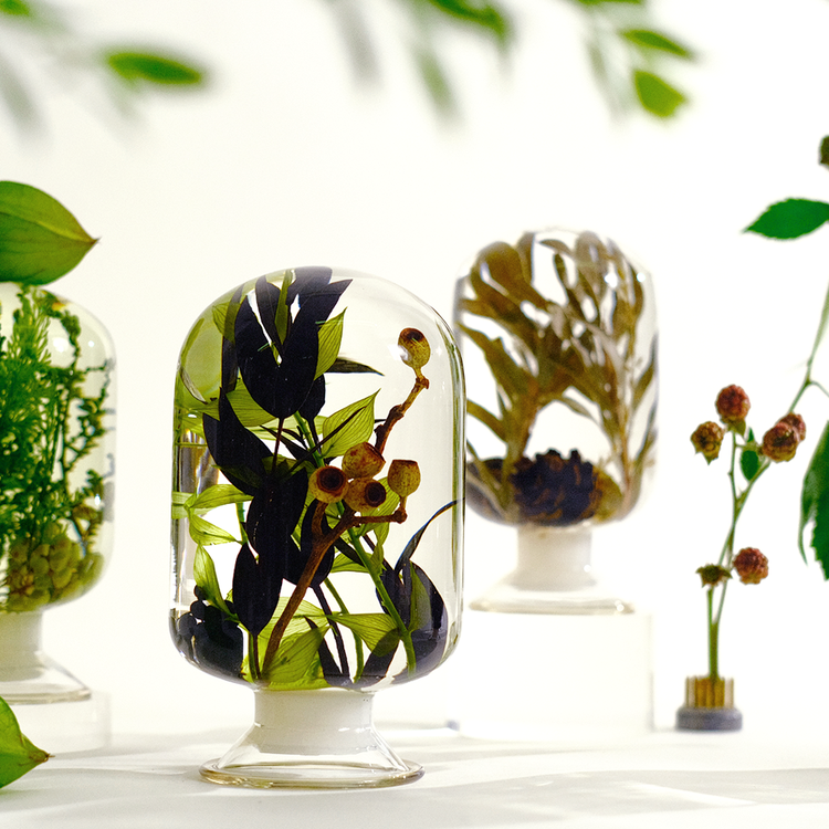 Pieces of Time Herbarium Black Forest Large