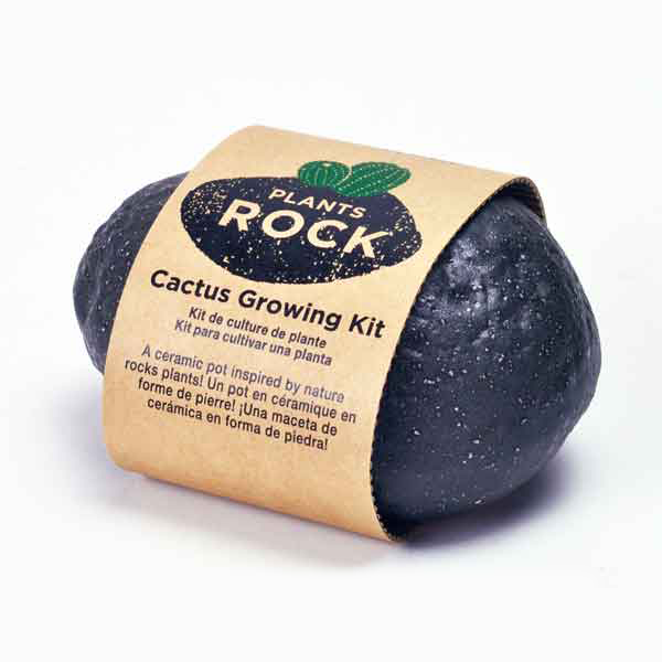 Plants Rock - Cactus Growing Kit – Pearl River Mart