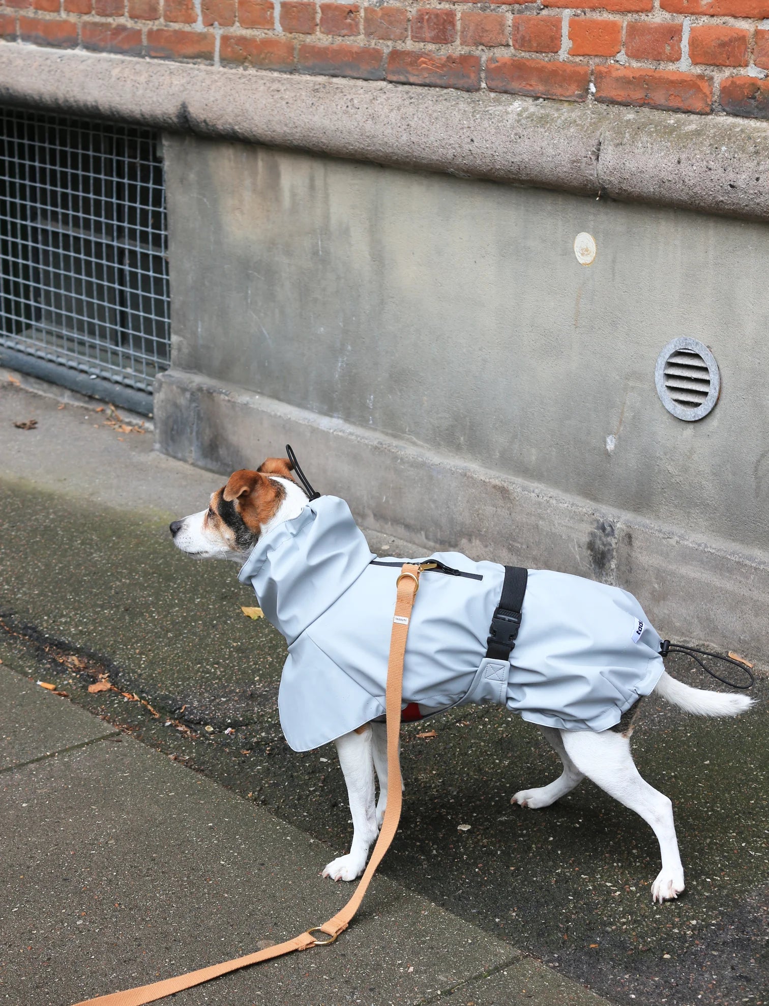 Rain Coat in Light Grey (Size 50)