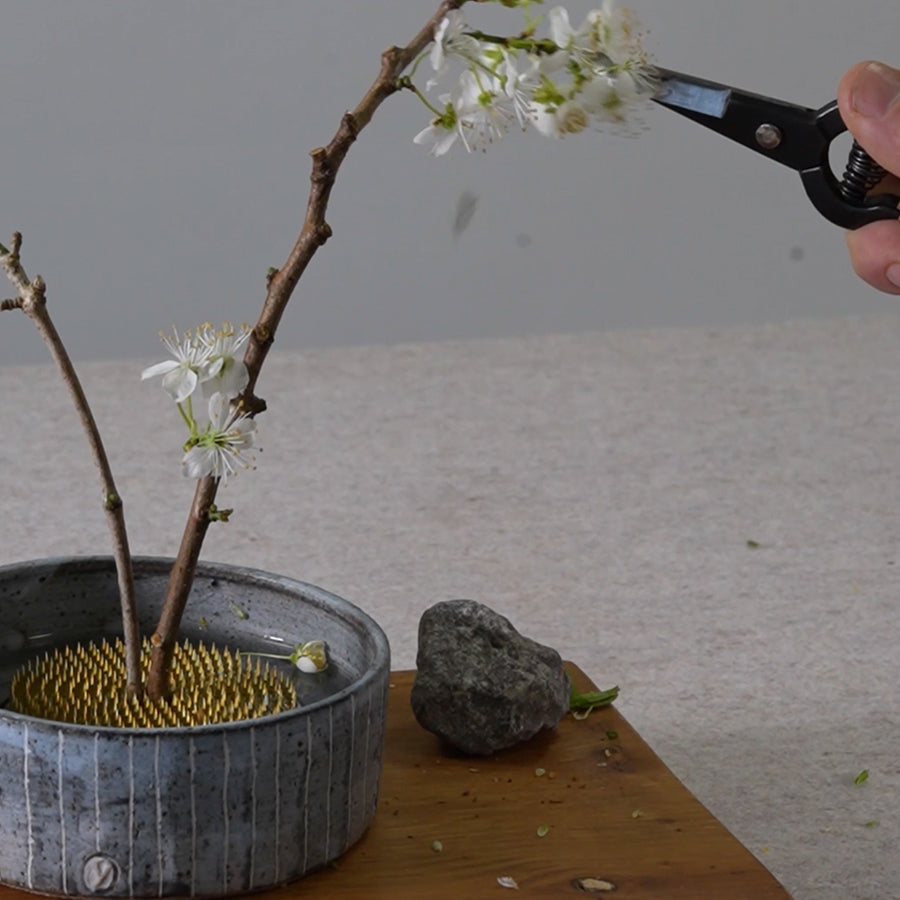 Kenzan Pins for Ikebana Flower Arrangements Extra Large 97mm