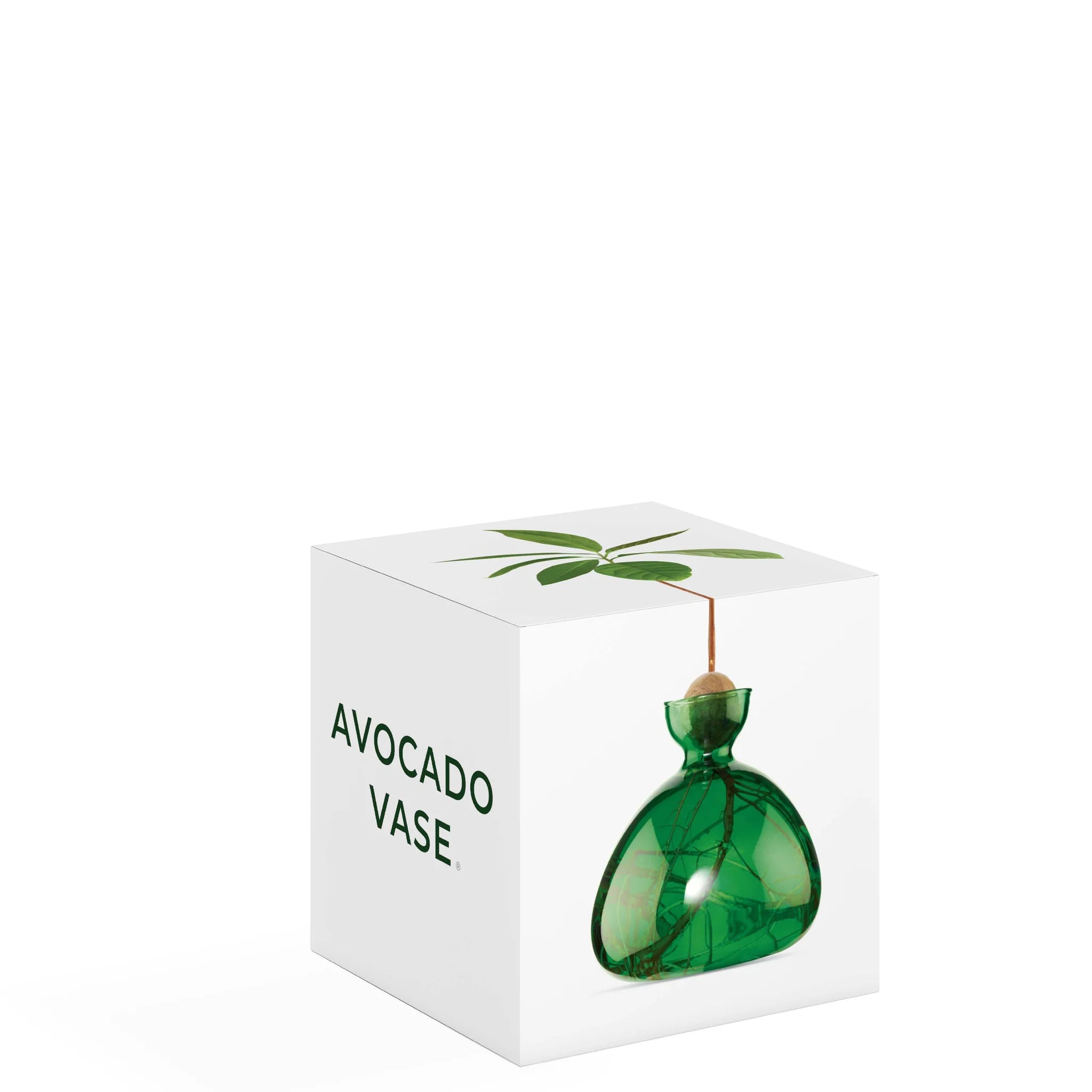 Avocado Vase in Emerald Green
