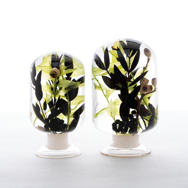 Pieces of Time Herbarium Black Forest Large