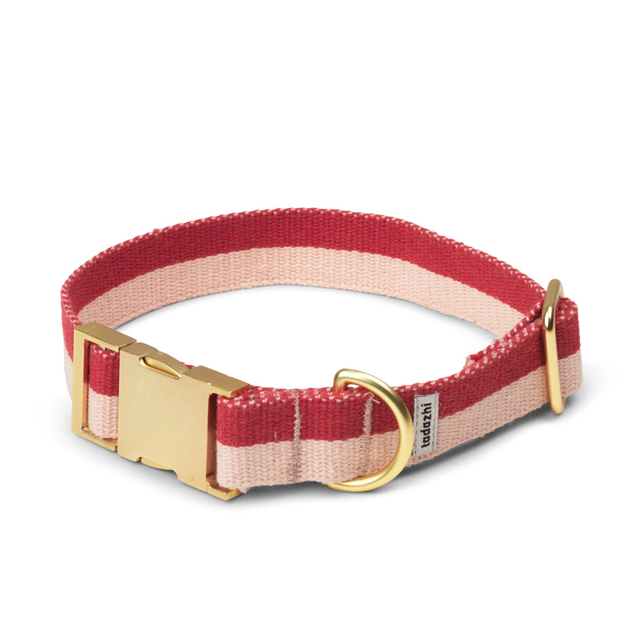 Dog Collar in Red & Powder