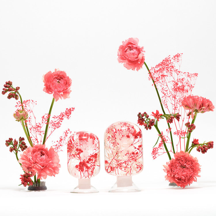 Pieces of Time Herbarium Wild Bloom Medium