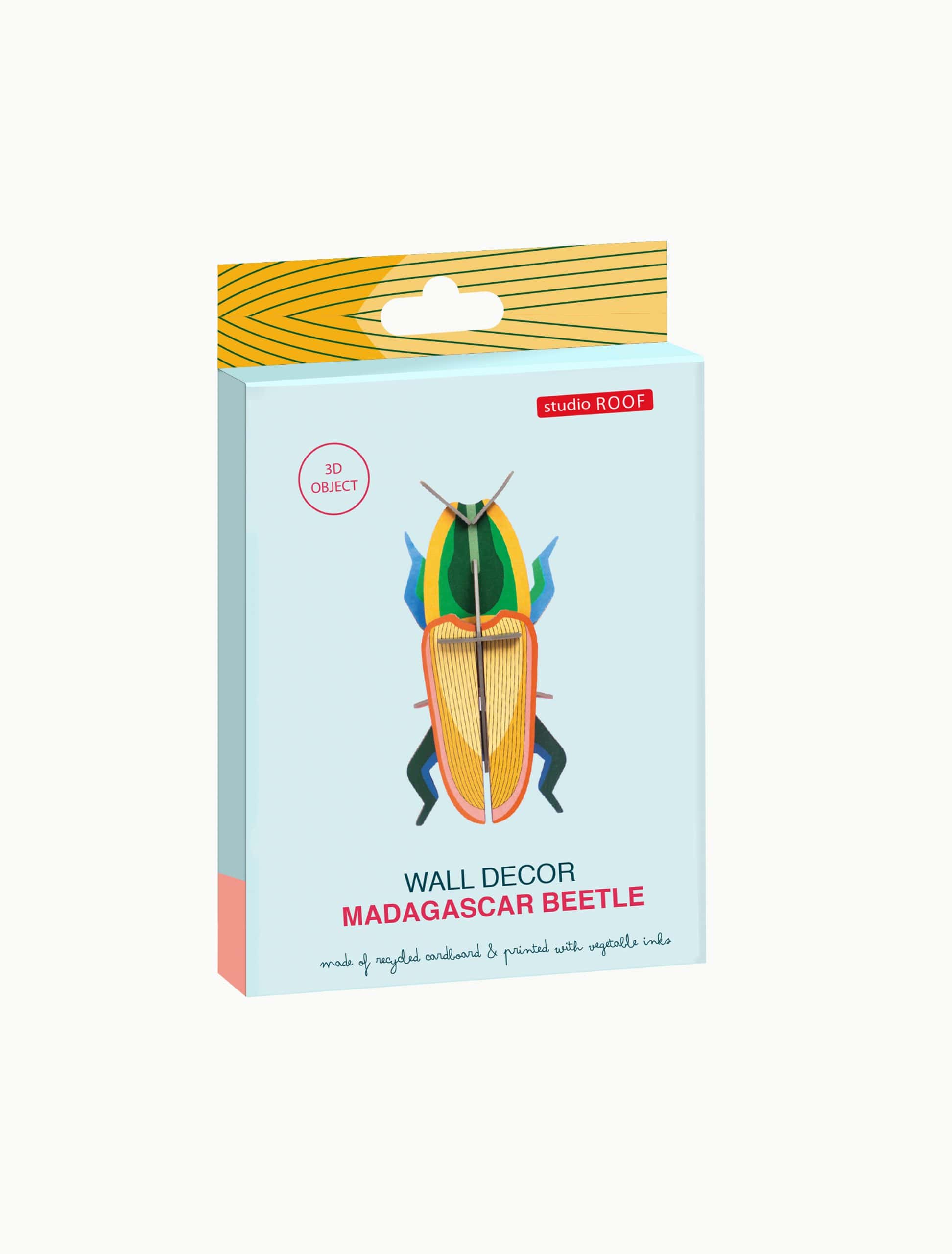 Madagascar Beetle