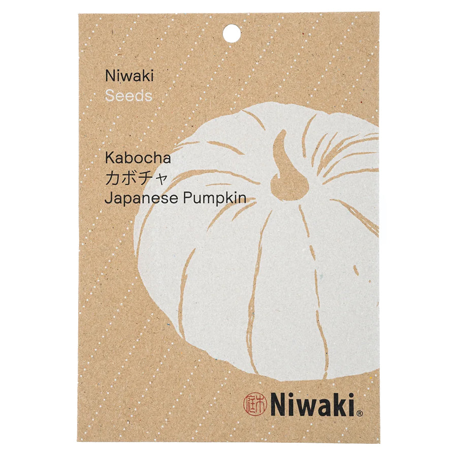 'Kabocha' (Japanese Pumpkin) Seeds