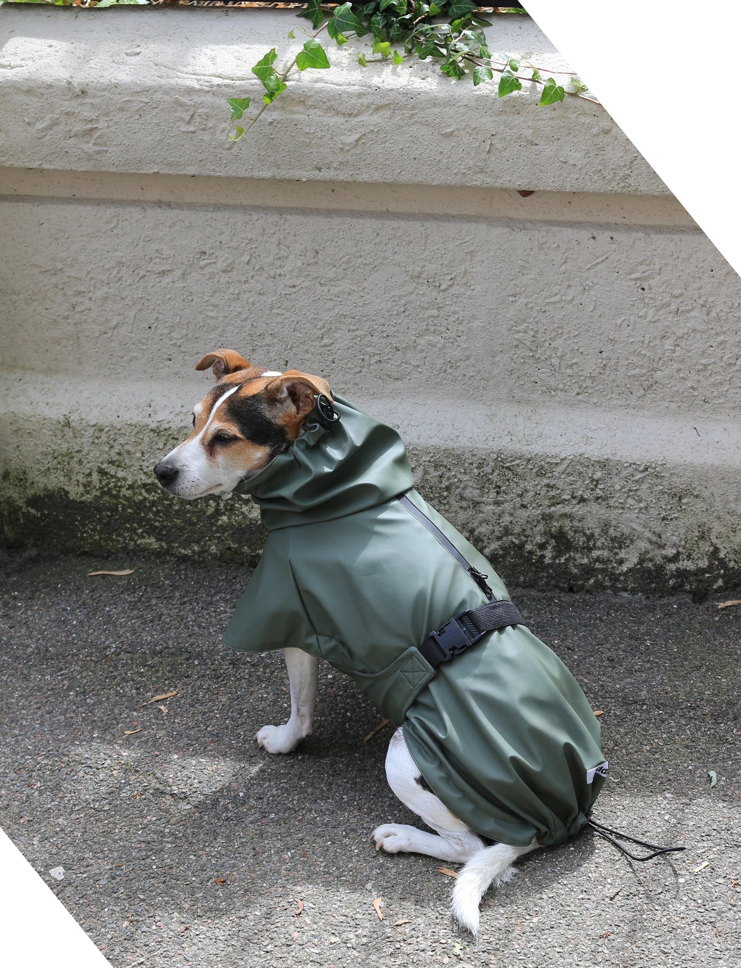 Rain Coat in Green (Size 50)