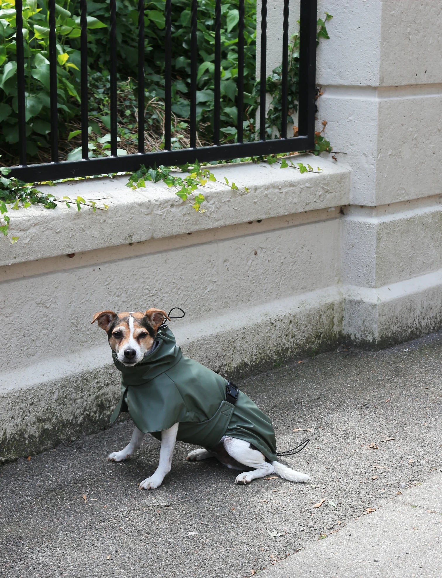 Rain Coat in Green (Size 50)