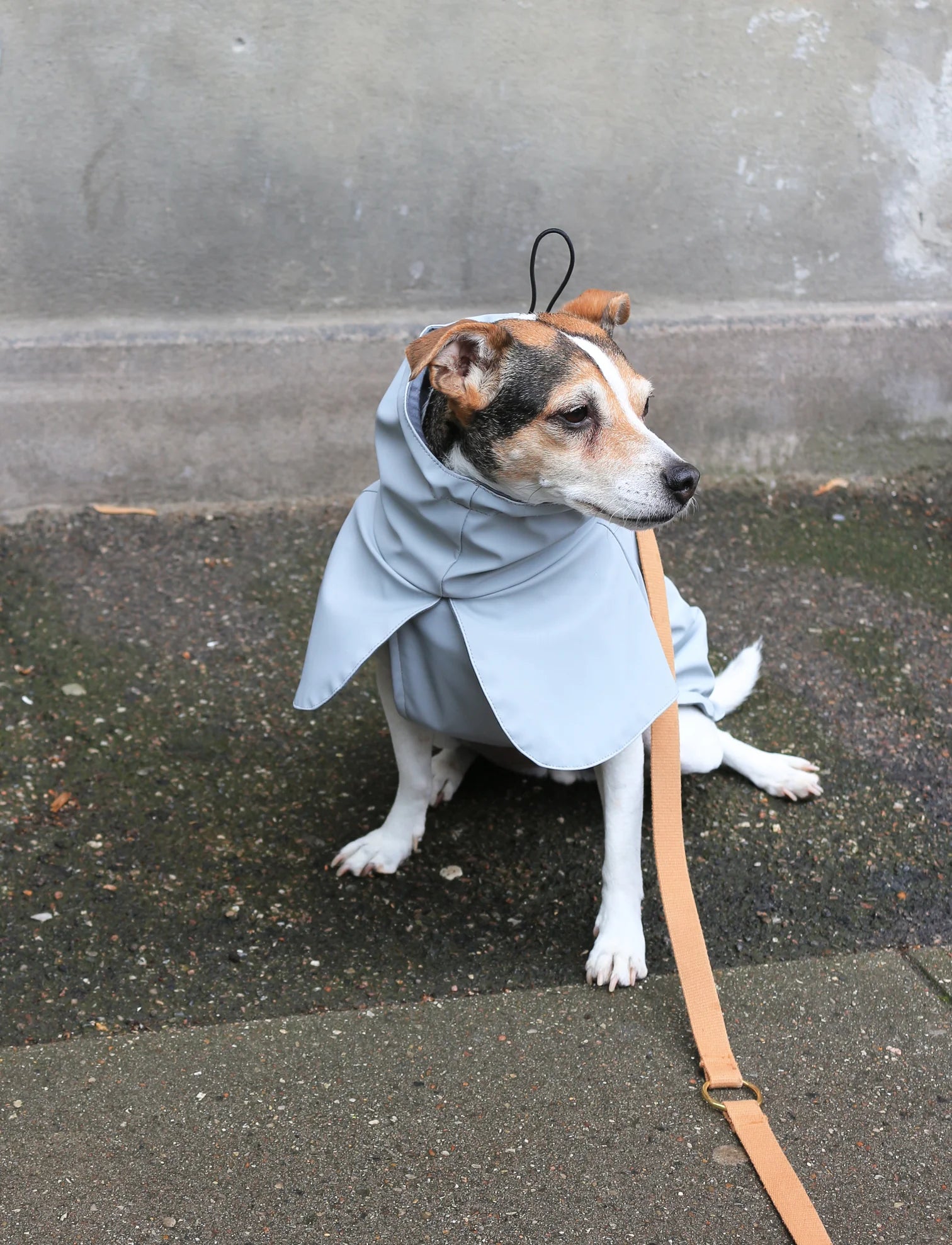 Rain Coat in Light Grey (Size 50)