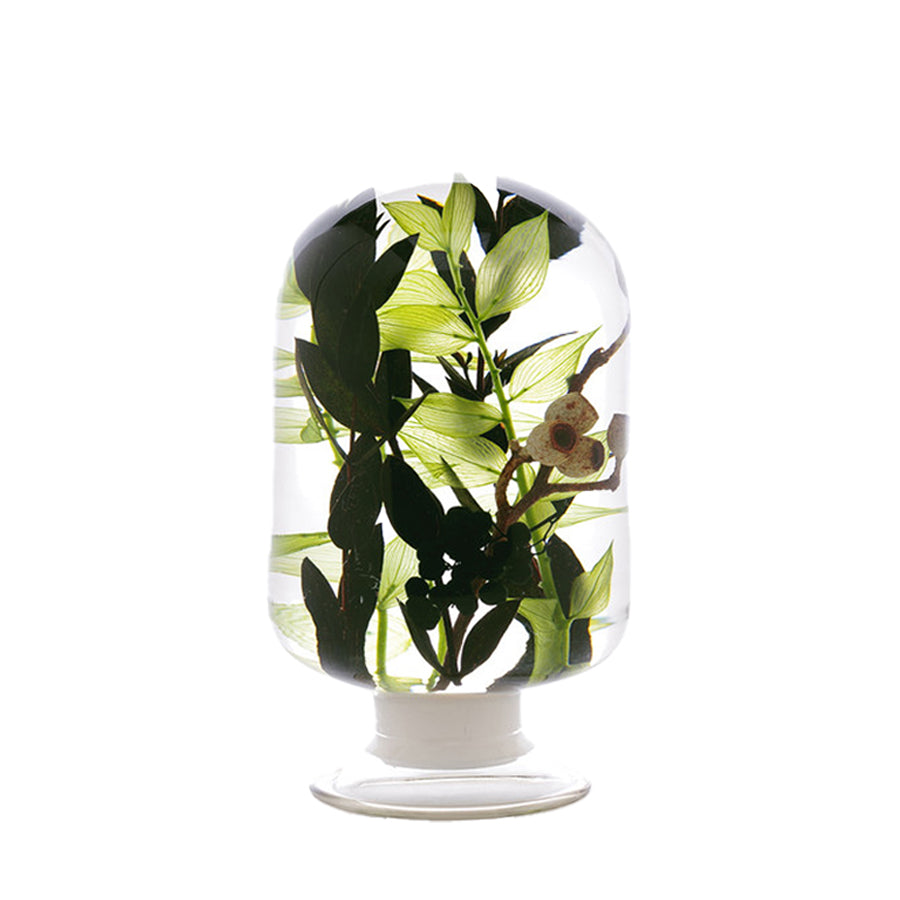 Pieces of Time Herbarium Black Forest Large