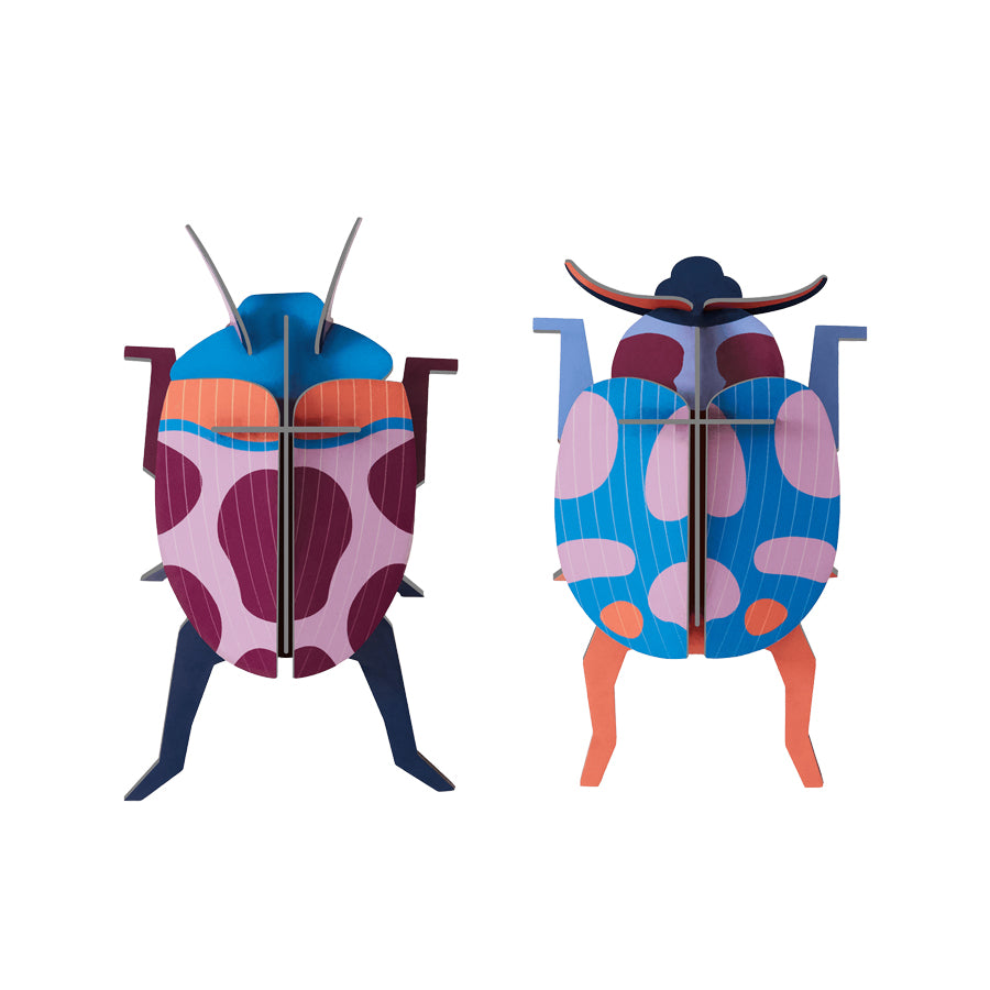 Coccinelle Couple Beetle