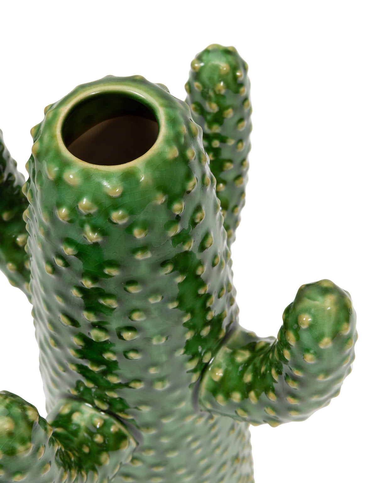 Green Urban Jungle Cactus Vase in Medium