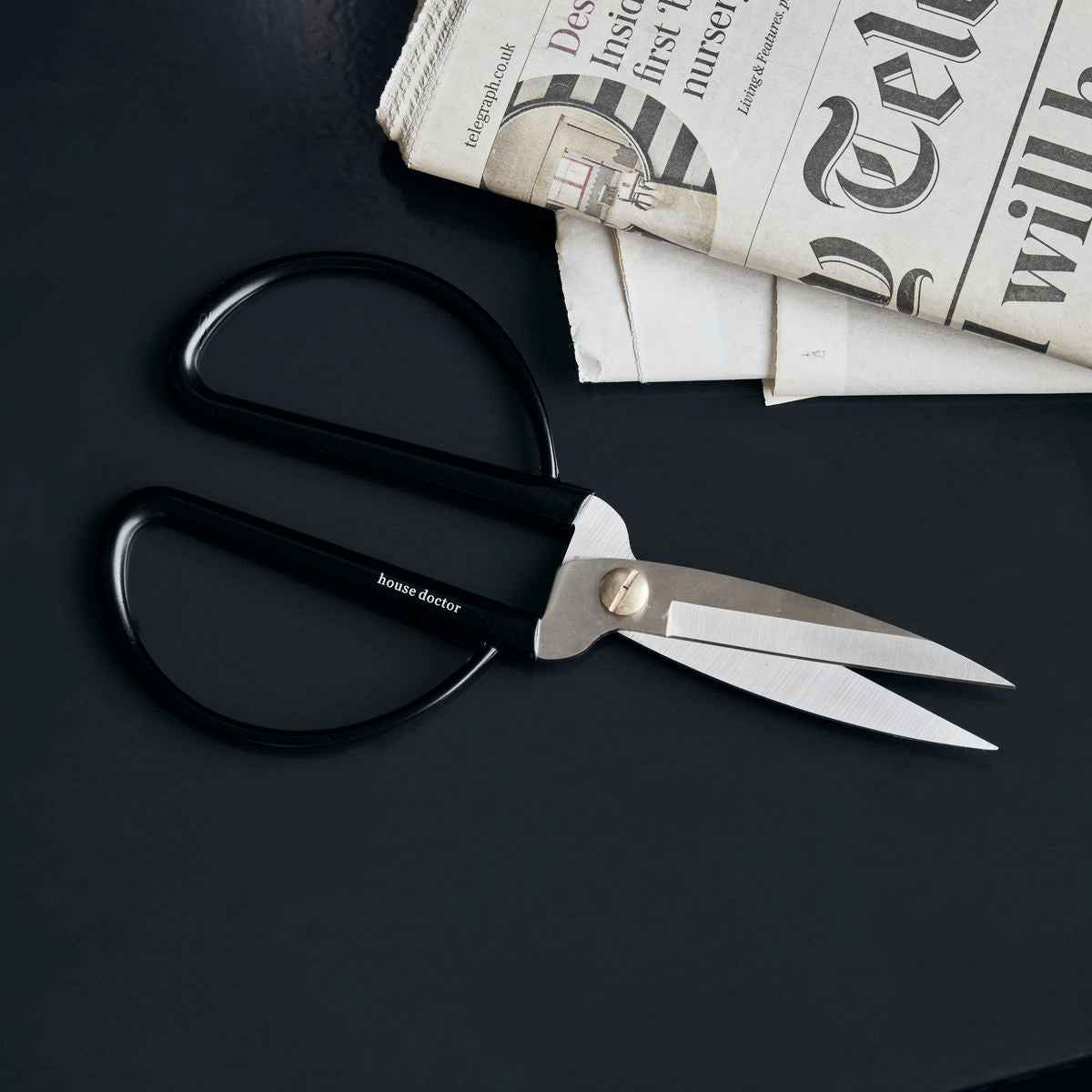Stainless Steel Scissors with Black Handles