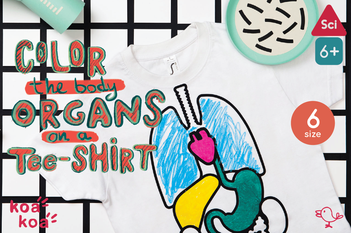 Colour the Body Organs on a Teeshirt - 6 Years