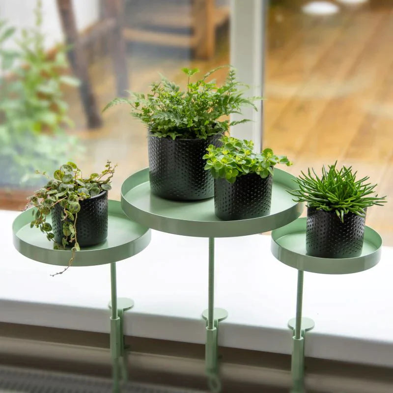 Plant Tray, Windowsill Clamp Small Green