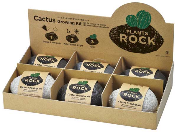 Grow Basil at Home Kit - Plants Rock!