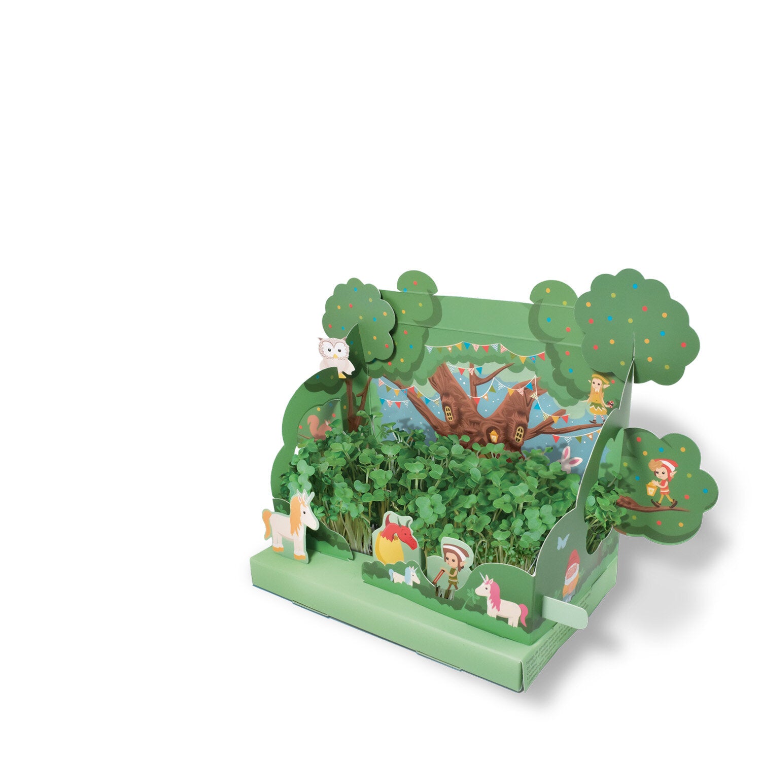 Grow Your Own Mini Magical Garden