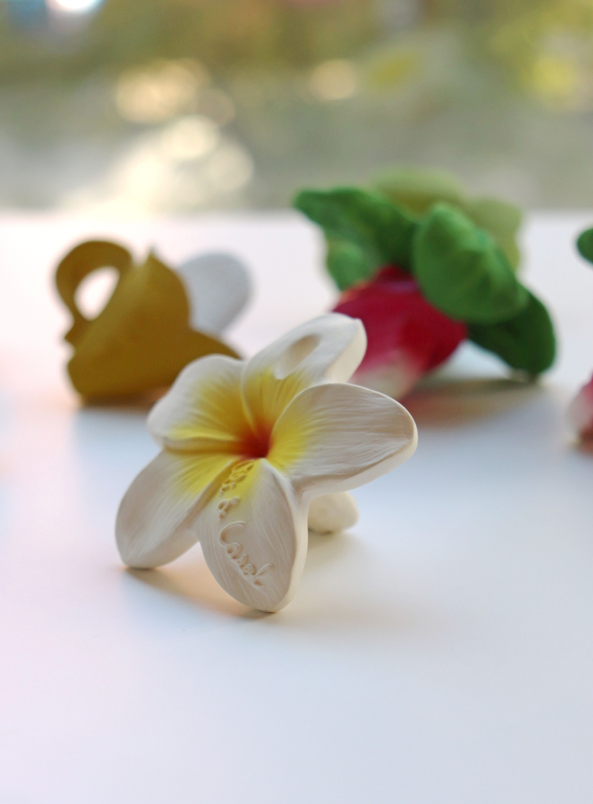 Chewy To Go Teether Hawaii the Flower