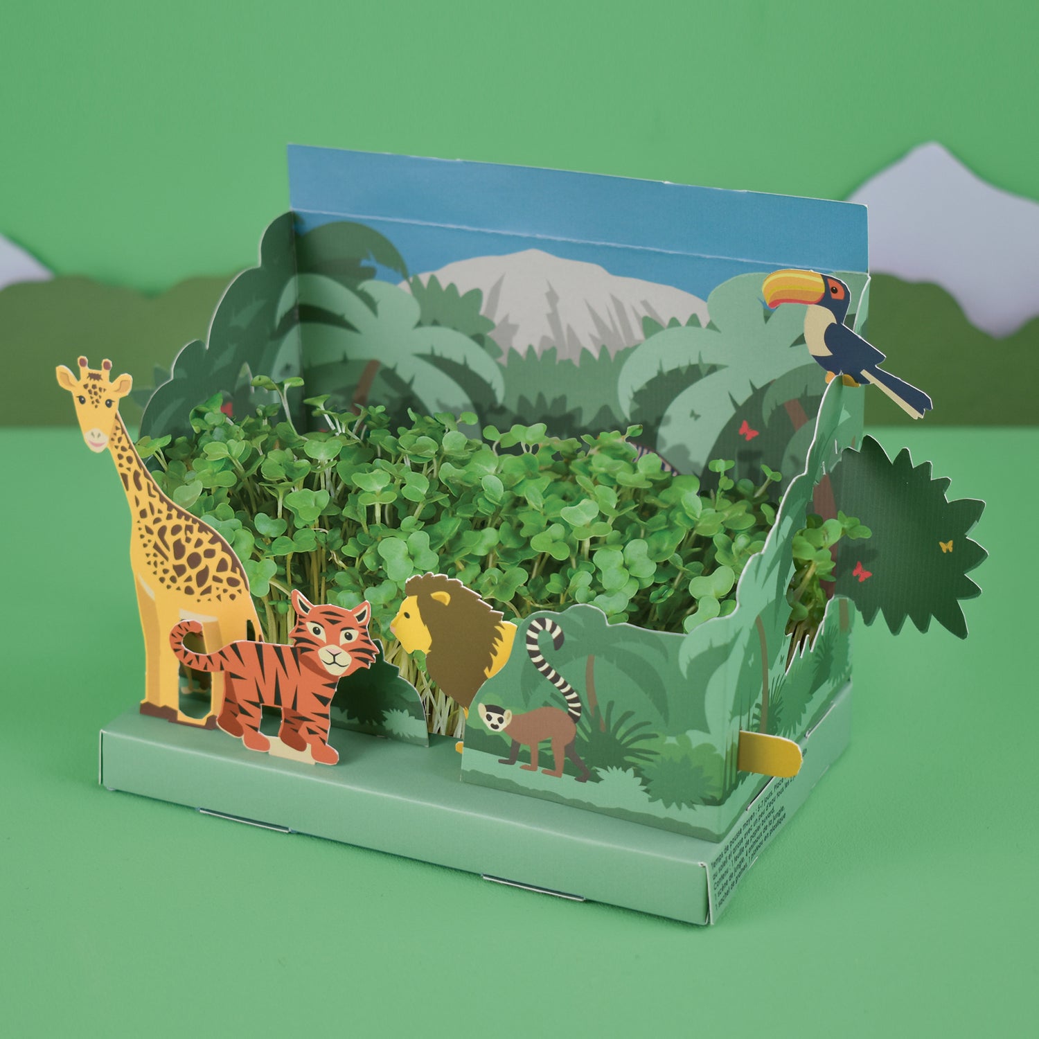 Grow Your Own Mini Jungle Garden