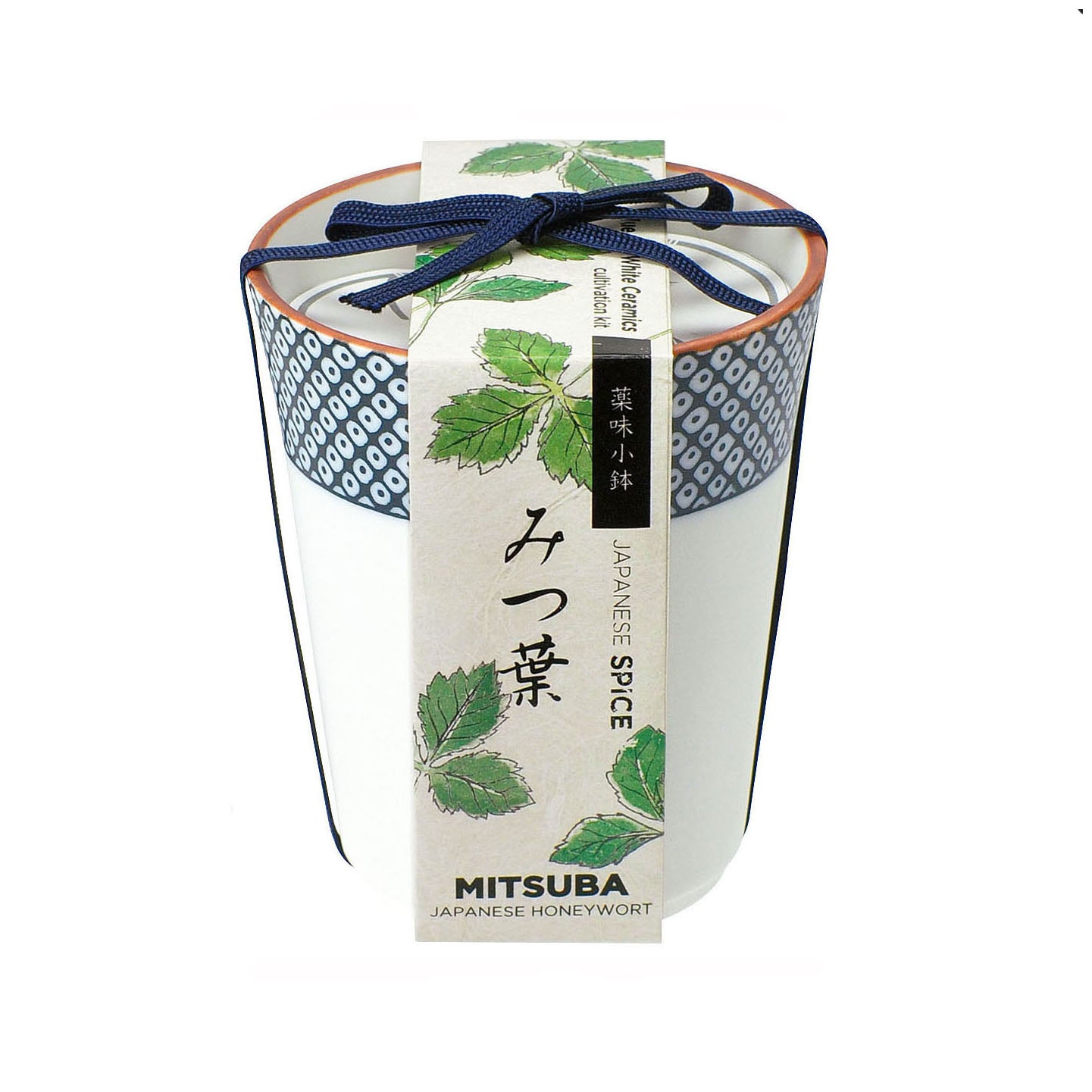 Grow Your Own Japanese Herbs Kit in a Ceramic Pot - Mitsuba(Japanese Parsley)