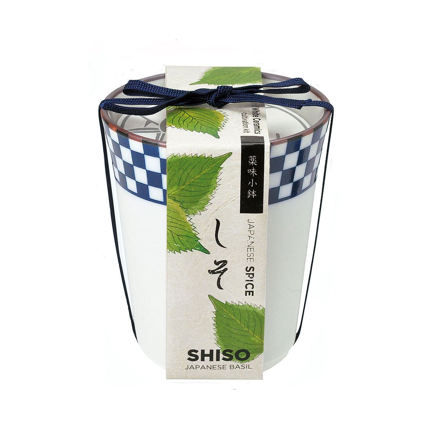 Grow Your Own Japanese Herbs Kit in a Ceramic Pot - Shiso