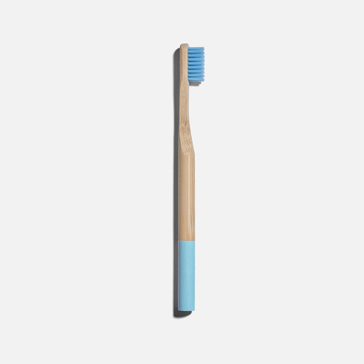 Adult Tooth Brush in Baby Blue