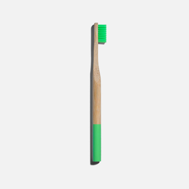 Adult Tooth Brush in Green