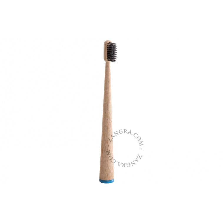 Self Standing Bamboo Toothbrush in Blue Handle