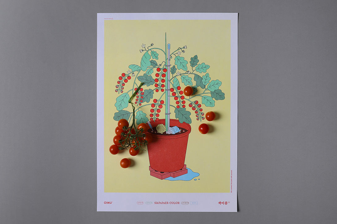 Colour Poster in Cherry Tomato
