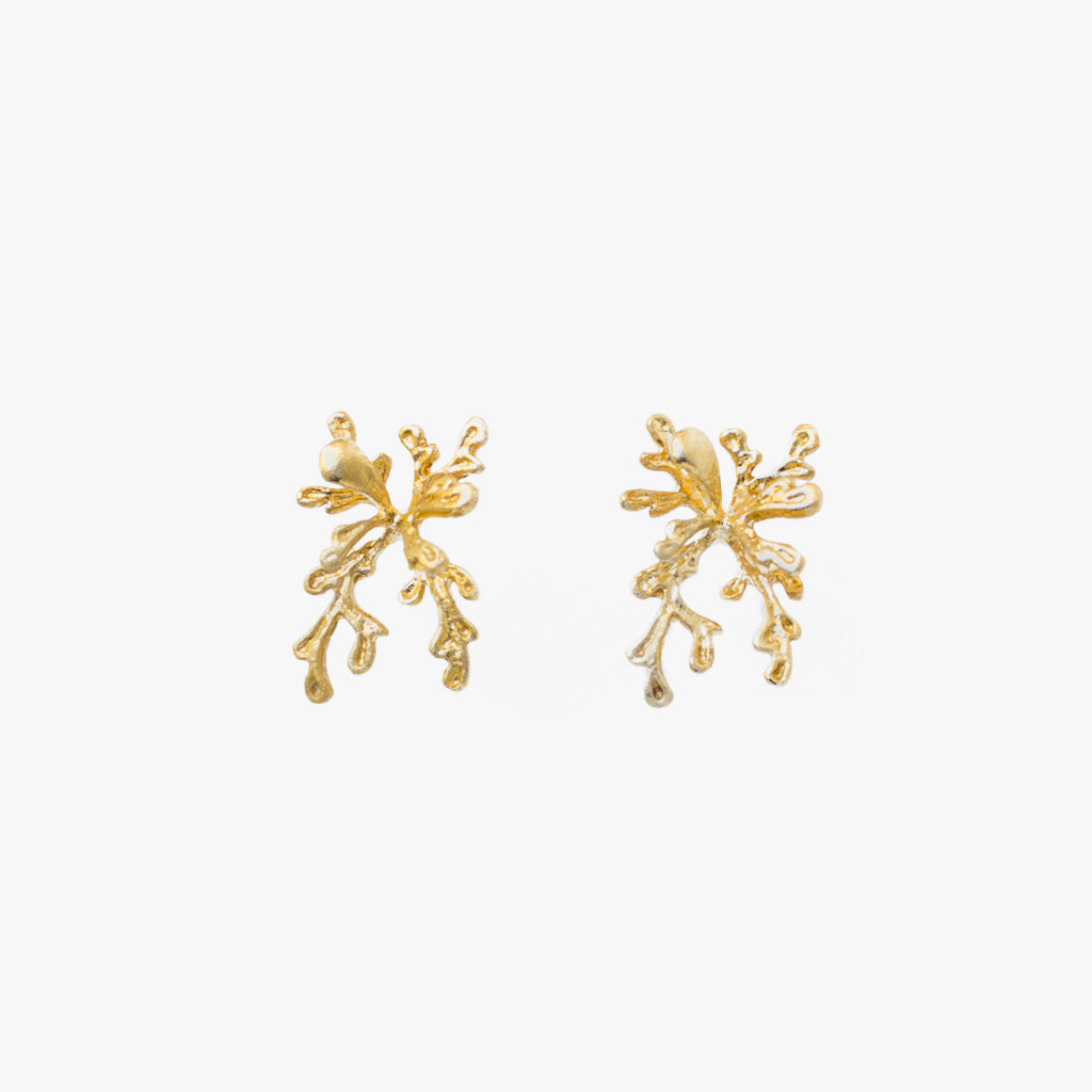 Earrings with Coral Shape