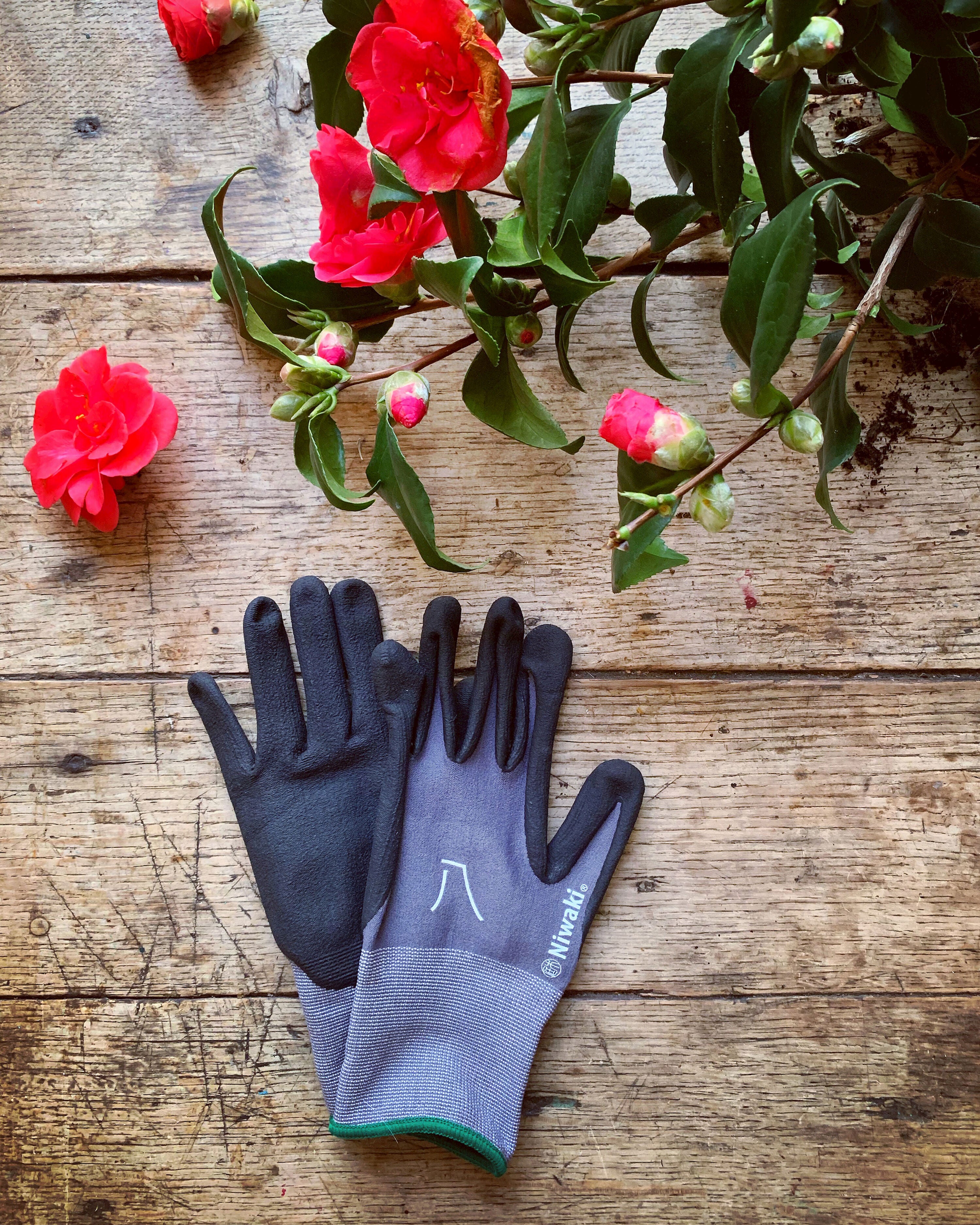 Gardening Gloves - Medium with Green Cuff