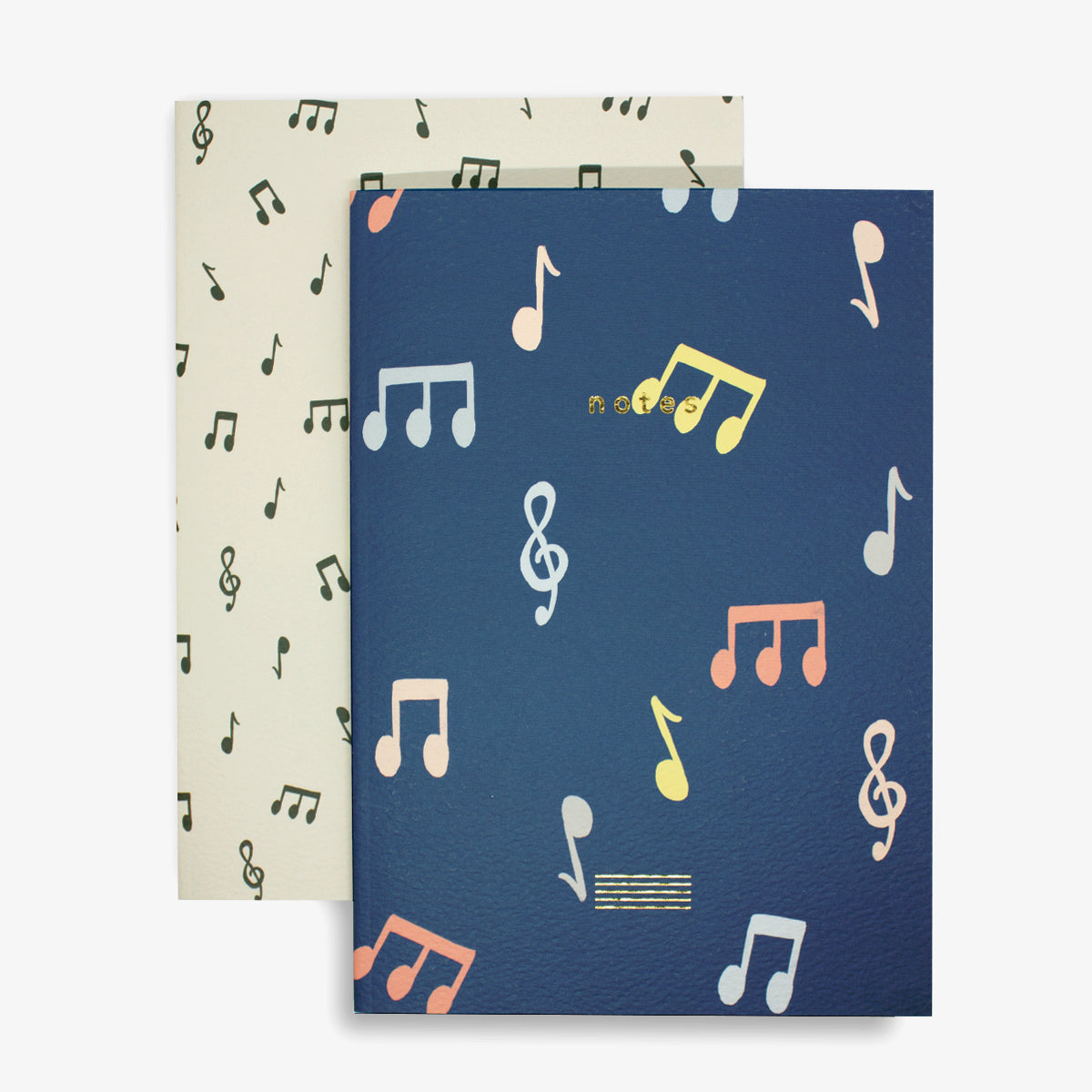 Notes Notebook Set of 2 - Ruled & Blank