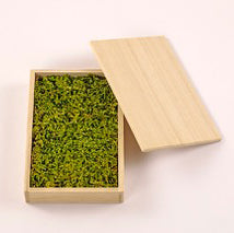 FUJIGOKE Box with Moss Sheet
